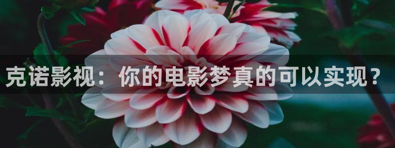 早熟电影免费全期策驰影院：克诺影视：你的电影梦真的可以实现？