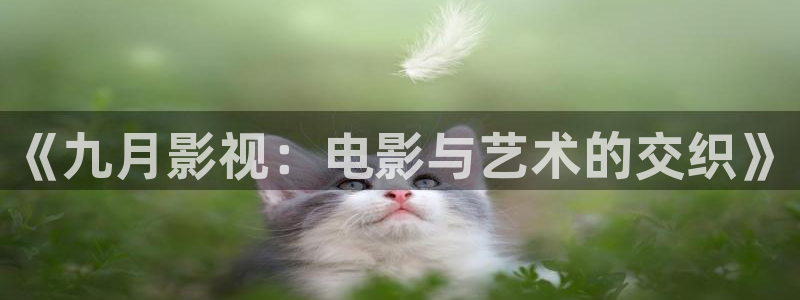 司藤策驰影院电视剧免费：《九月影视：电影与艺术的交织》