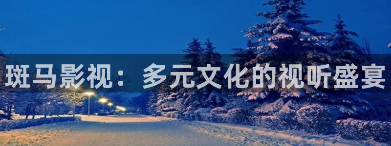 策驰影院免费观看2025：斑马影视：多元文化的视听盛宴