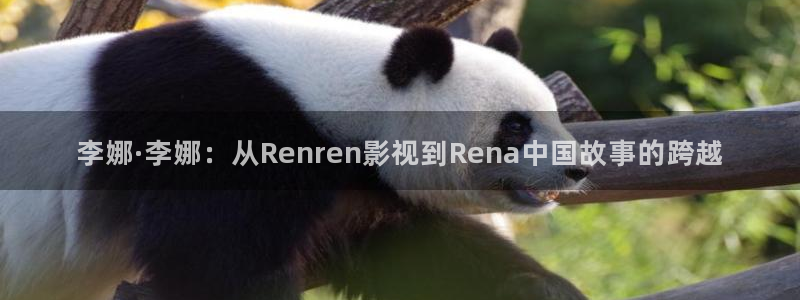 策驰影院最新电视剧大全：李娜·李娜：从Renren影视到Rena中国故事的跨越